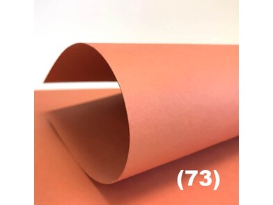 Color Style Fresh Close up orange | © EP